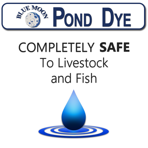 Animal Safe Dye